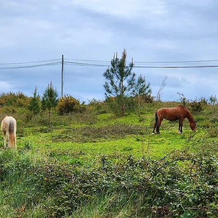 منزل ريفي Casa Avo Judite - Castelo